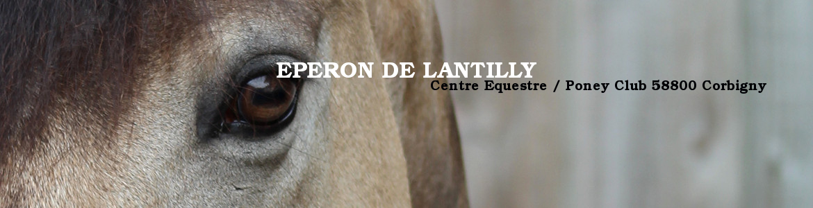 EPERON DE LANTILLY